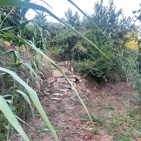 Loureiro  Nascente, Place In Nature Next To A Waterfall מראה חיצוני תמונה