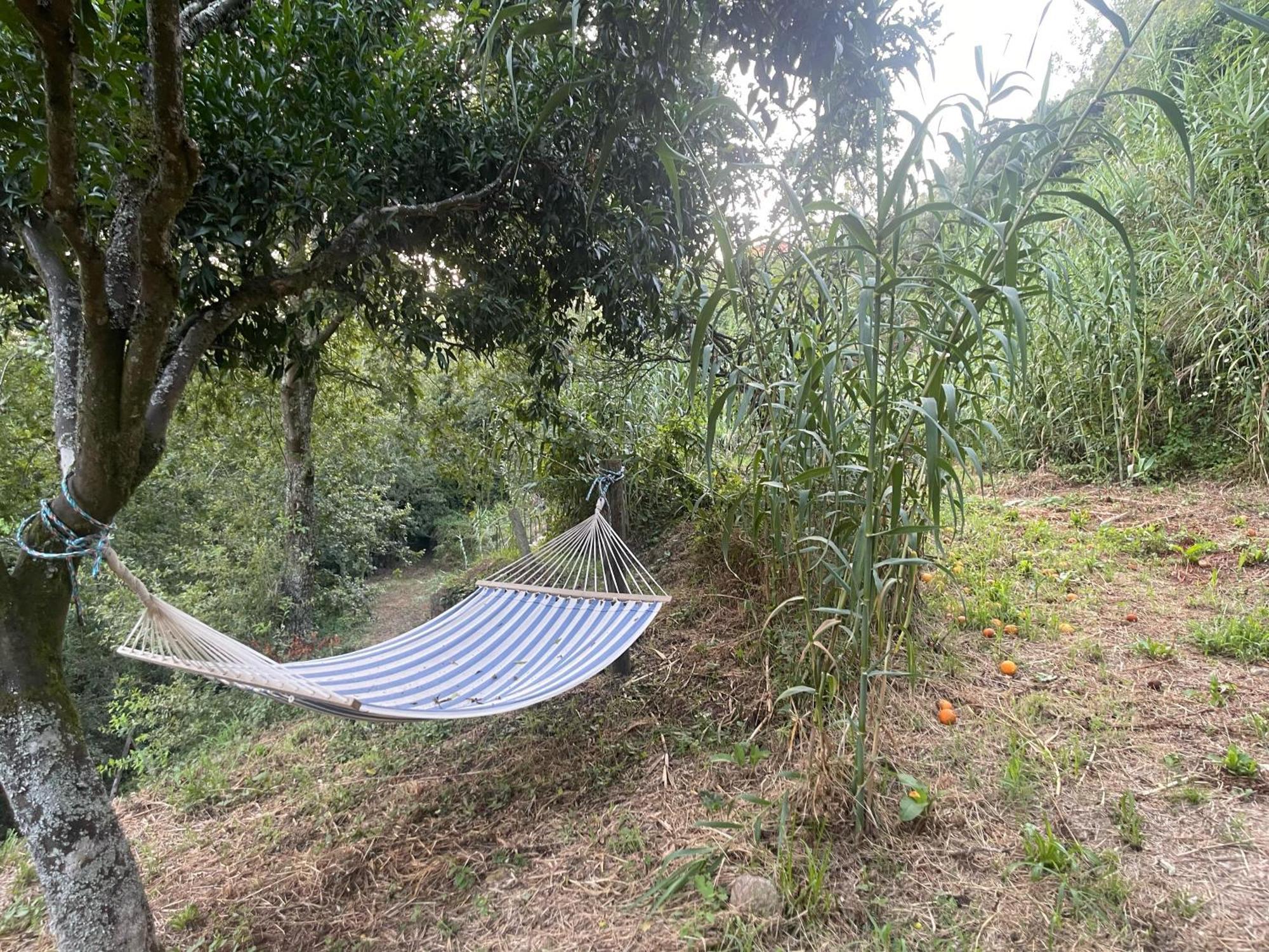Loureiro  Nascente, Place In Nature Next To A Waterfall מראה חיצוני תמונה