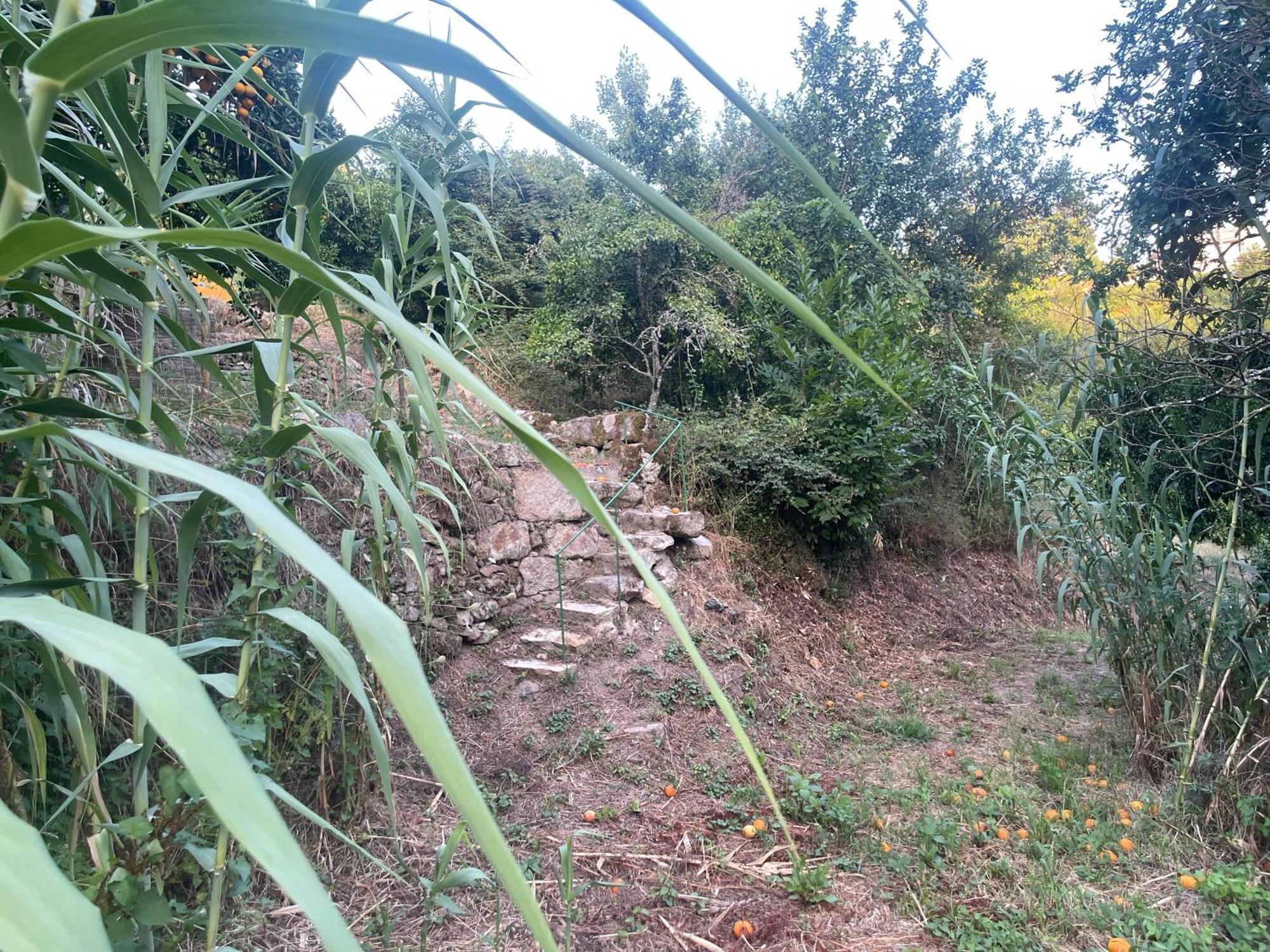 Loureiro  Nascente, Place In Nature Next To A Waterfall מראה חיצוני תמונה