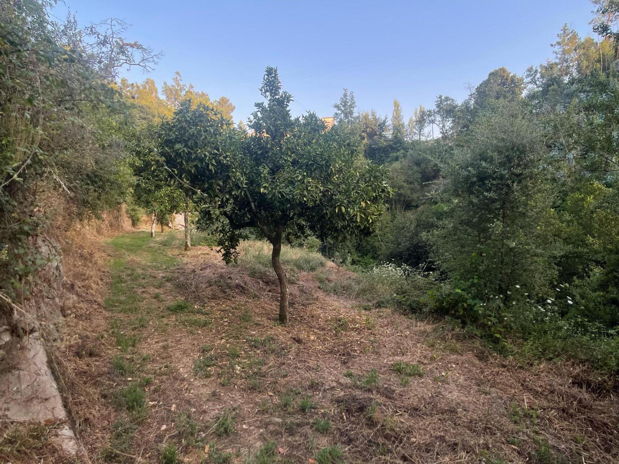 Loureiro  Nascente, Place In Nature Next To A Waterfall מראה חיצוני תמונה