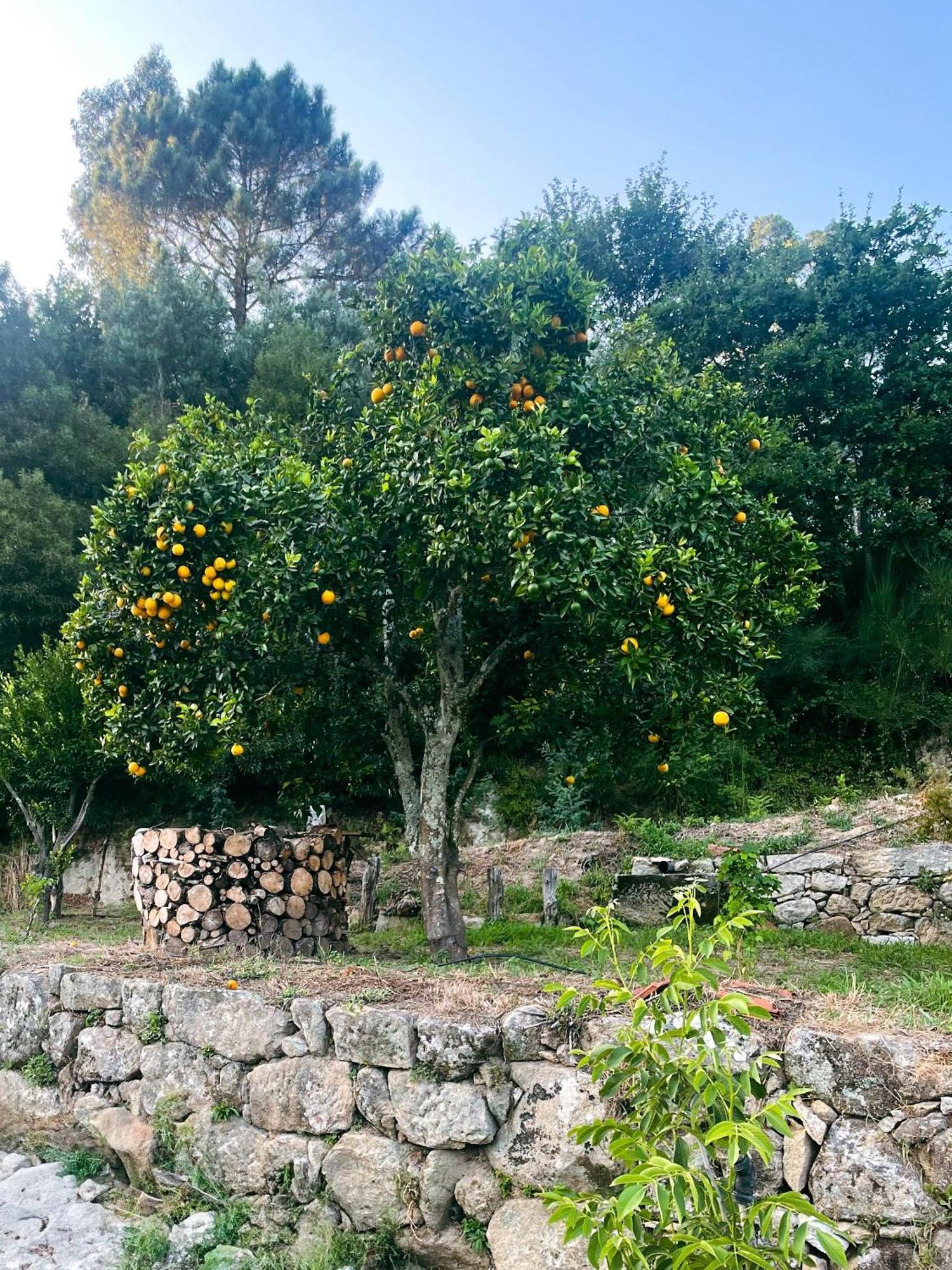 Loureiro  Nascente, Place In Nature Next To A Waterfall מראה חיצוני תמונה